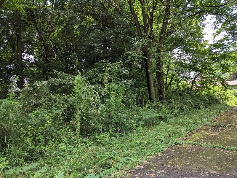  栃木県 鹿沼市 板荷