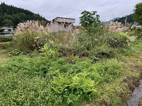 山形県 西村山郡大江町