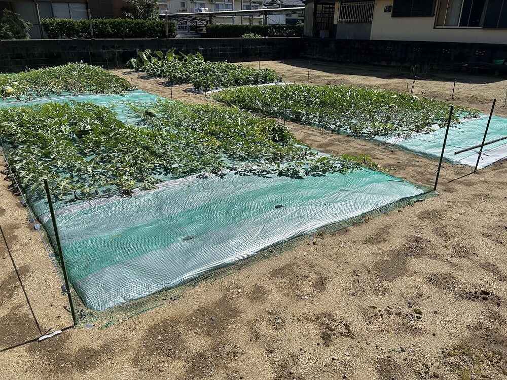 宮崎県 東臼杵郡門川町 東栄町4丁目